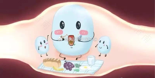 宝宝吃益生菌需要注意什么