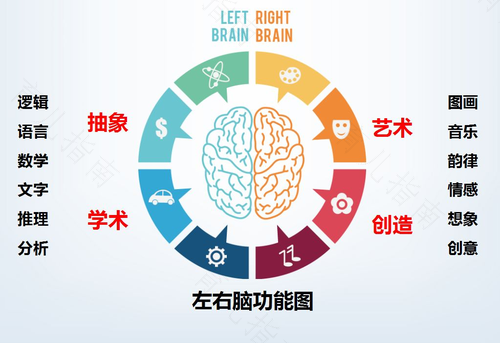 怎么样激发孩子的右脑 怎么样激发孩子的右脑