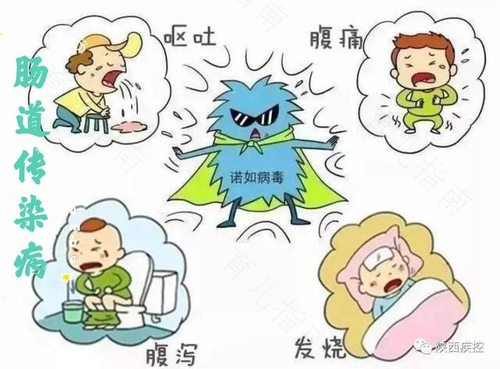 宝宝痢疾和流脑的防治与护理