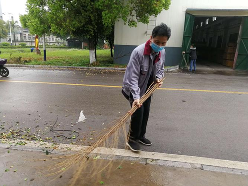环境因子对生物的影响 环境因子对生物的影响