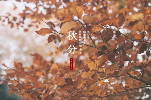 秋冬季节宝宝应该注意什么