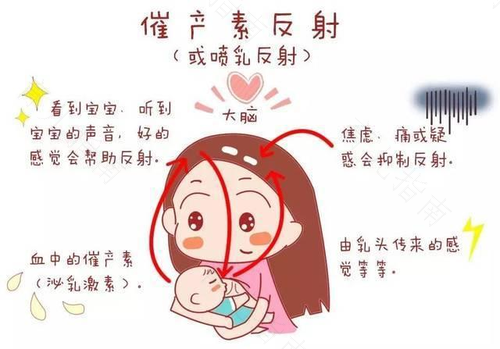 母乳喂养可缓解精神紧张