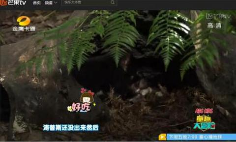 ABC KIDS《童趣大冒险》勇赴《狼图腾》故乡
