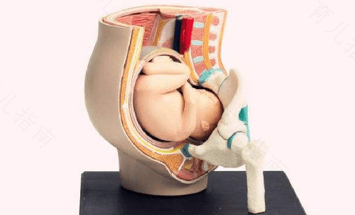 胎儿要到什么情况才会出生 胎儿要到什么情况才会出生