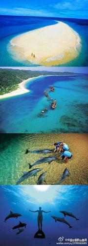 澳洲阳光沙滩太远，但我们和澳洲人有同款a2牛奶