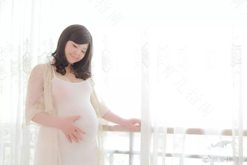 孕期新主张 宝宝与爱宠可兼得