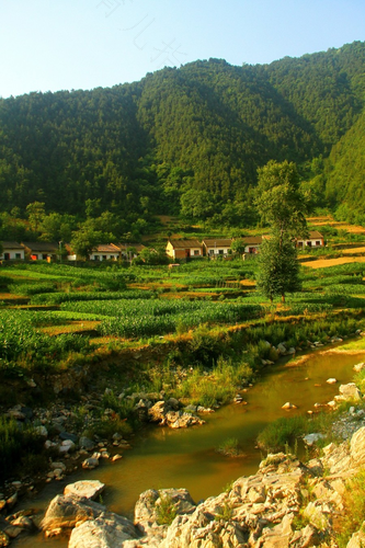 山水田园诗的情感