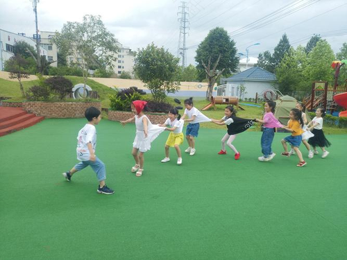 老鹰老鹰捉小鸡母鸡妈妈最勇敢