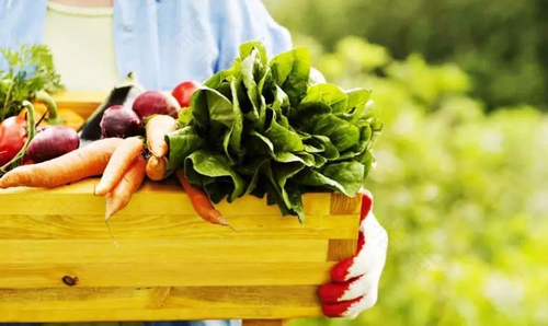 汇聚丹麦 有机生活 汇聚丹麦 有机生活