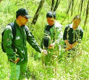 广东月康堂在新鲜草本植物多元化研发上的启发 广东月康堂在新鲜草本植物多元化研发上的启发