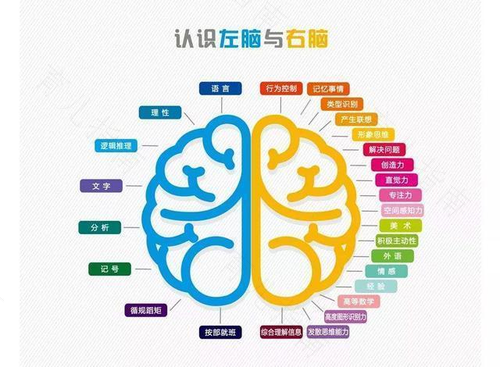给宝宝的右脑打打分　