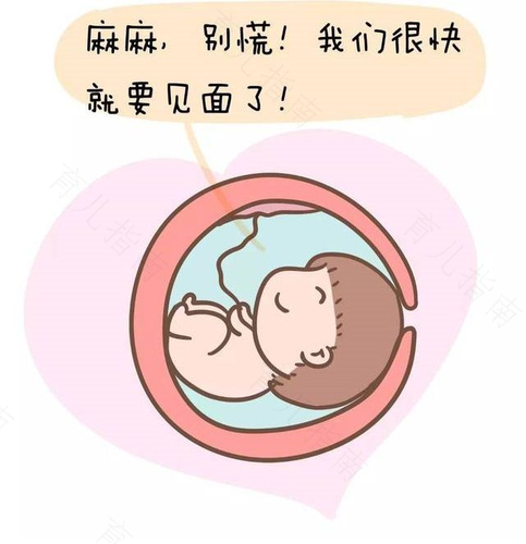 掌握胎儿学习的最好时机