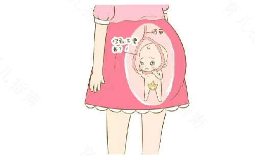 大肚婆看过来：识别常见胎动异常