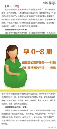 职场孕妈咪通行全方案