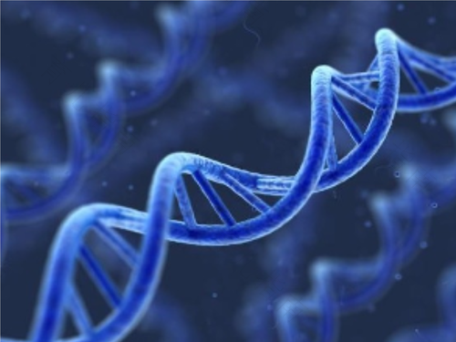 试管婴儿促排有几种方案 试管婴儿促排有几种方案