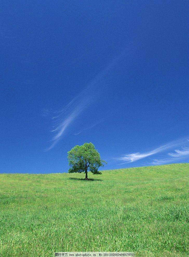 给孩子一片蓝天,家校携手未来文案