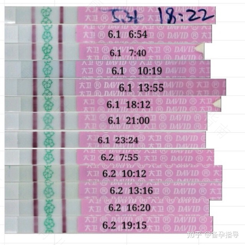 排卵期哪一天受孕率高 排卵期哪一天受孕率高