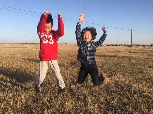 母乳和奶粉可以掺在一起喝吗