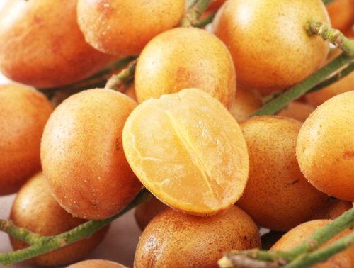 有助于感冒化痰的食物和水果