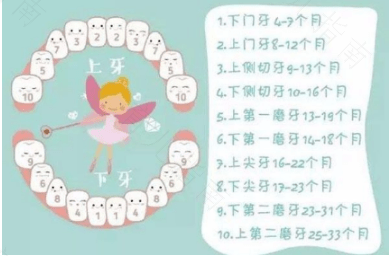 宝宝要长牙的表现有哪些