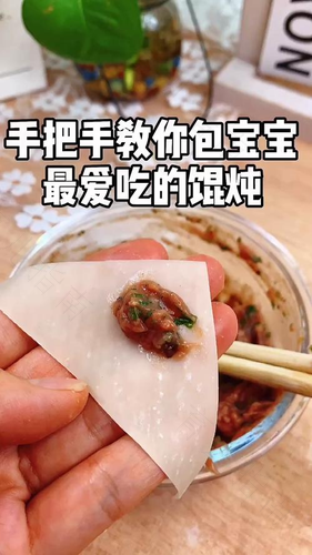 宝宝吃的鲜肉小馄饨怎么做