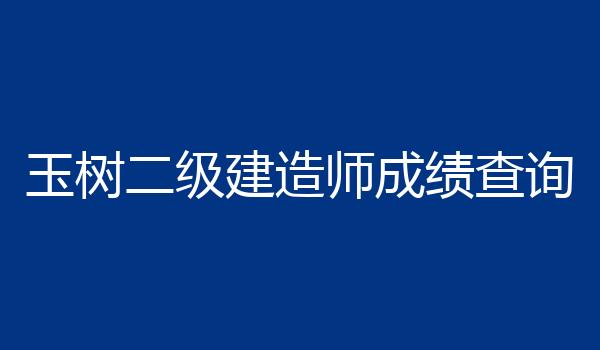 玉树二级建造师成绩查询