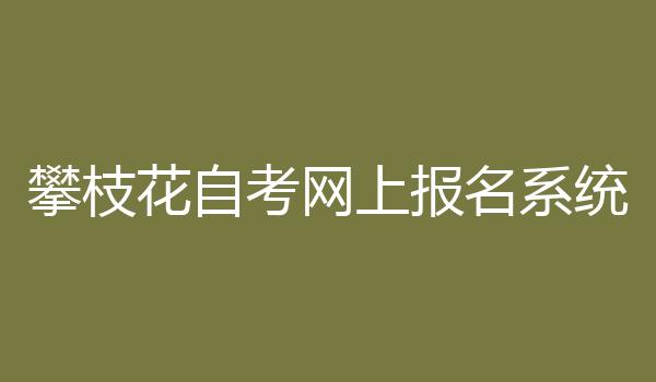 攀枝花自考网上报名系统