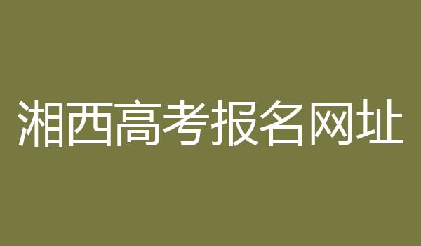 湘西高考报名网址