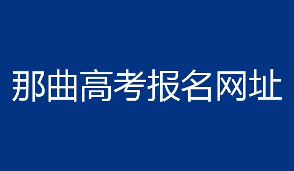 那曲高考报名网址