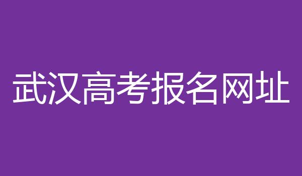 武汉高考报名网址