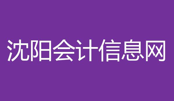 沈阳会计信息网