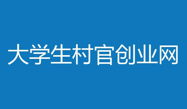 大学生村官创业网