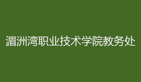 湄洲湾职业技术学院教务处