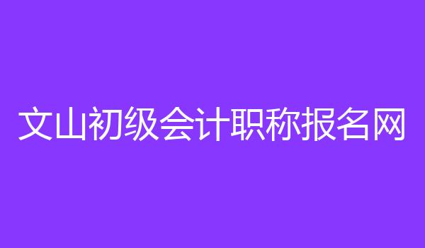 文山初级会计职称报名网
