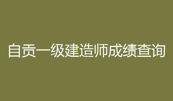自贡一级建造师成绩查询