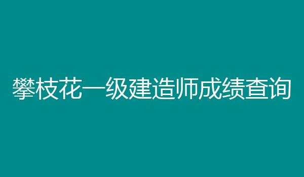 攀枝花一级建造师成绩查询