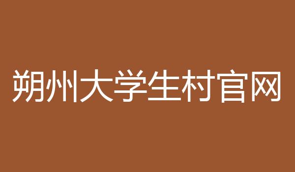 朔州大学生村官网