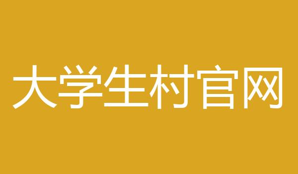 大学生村官网
