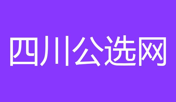 四川公选网