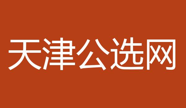 天津公选网