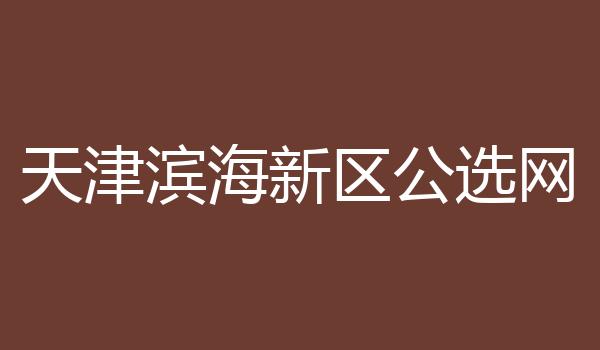 天津滨海新区公选网